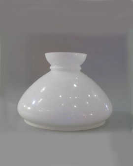 TULIPA-QUINQUE-REF-4994