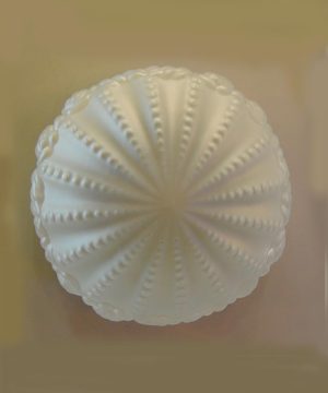 capturada 12.jpg_product_product_product_product_product_product_product_product_product_product_product_product_product_produ