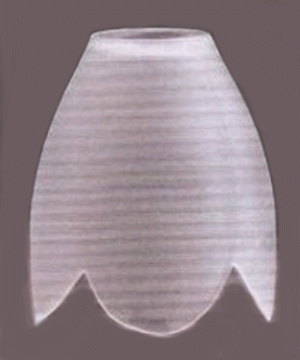 TULIPA-FLOR-T80.gif_3